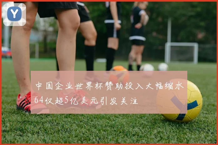 中国企业世界杯赞助投入大幅缩水64仅超5亿美元引发关注