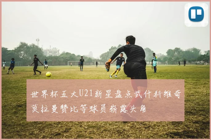 世界杯五大U21新星盘点武什科维奇莫拉曼赞比等球员崭露头角